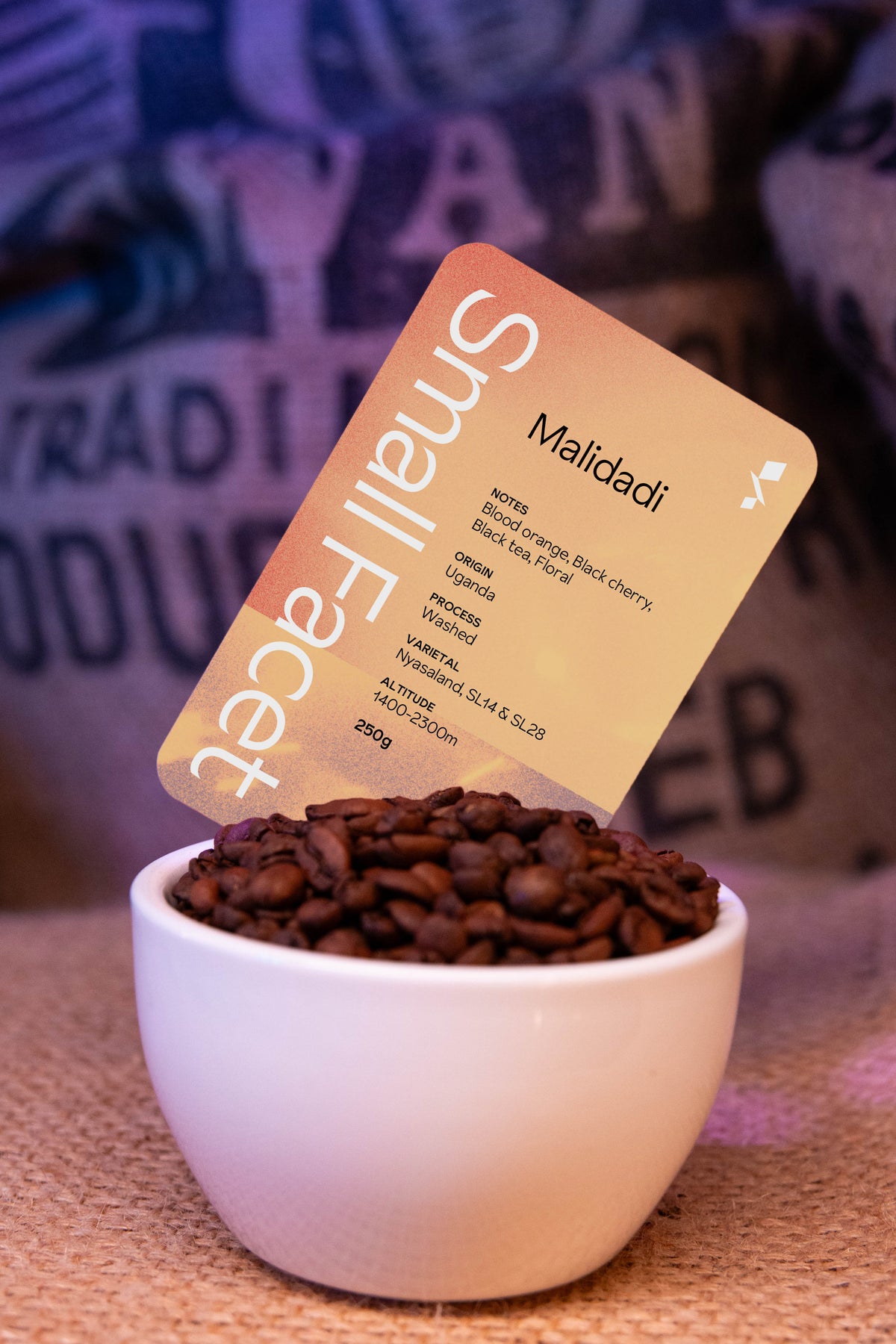 Malidadi